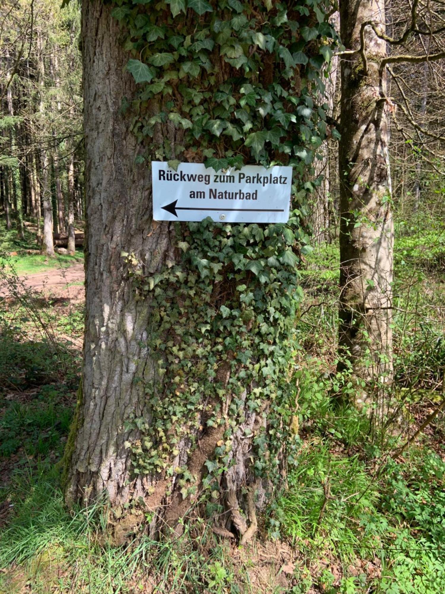 להר Appartement Sulzbachtal In Lahr, Naehe Europapark, Naehe Rulantica מראה חיצוני תמונה